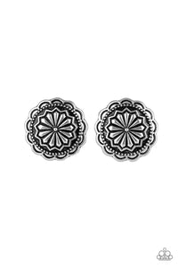 Durango Desert - Silver Post Earring